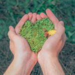 Quelles sont les nouveautés liées à l'environnement dans la BDESE