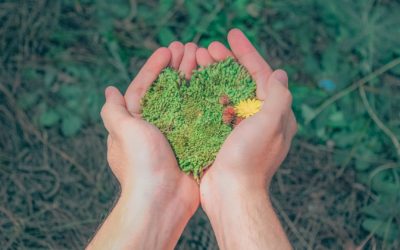 Quelles sont les nouveautés liées à l’environnement dans la BDESE ?